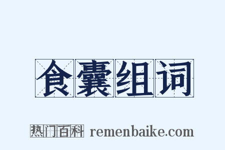食囊组词是什么意思的图片
